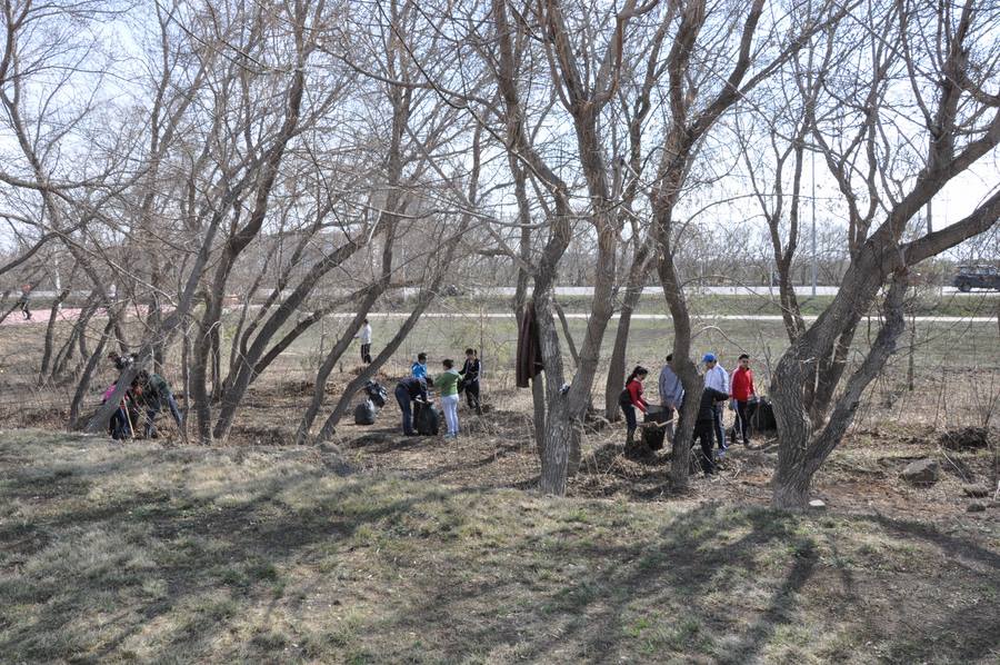 Citywide cleanup