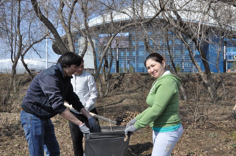 Citywide cleanup