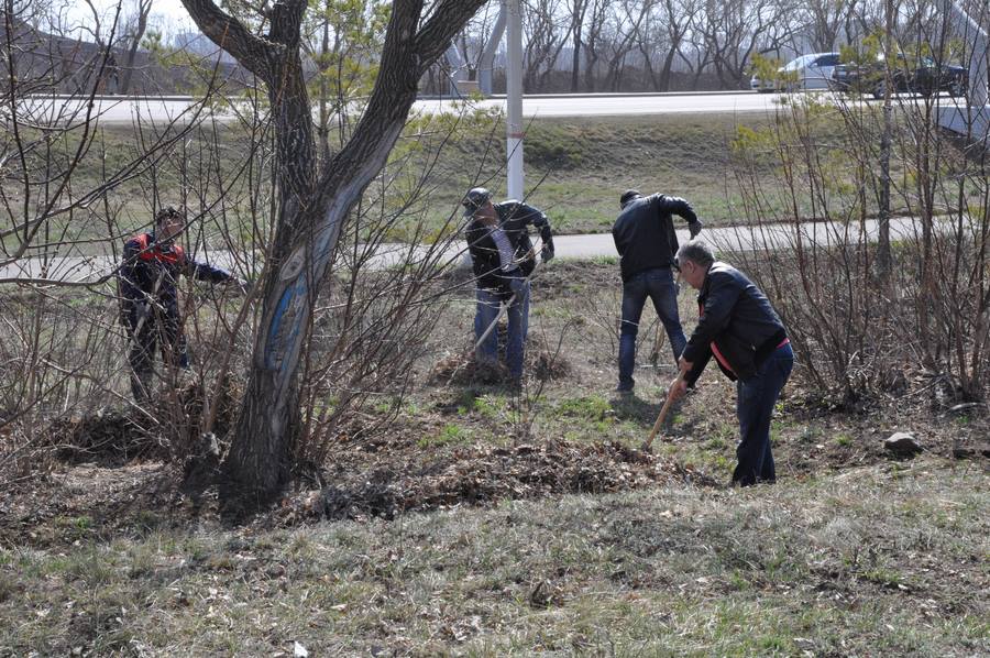 Citywide cleanup
