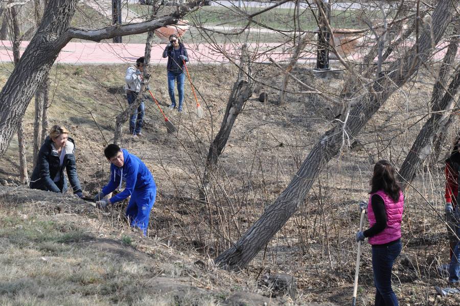 Citywide cleanup