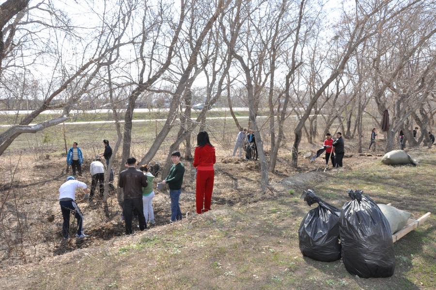 Citywide cleanup