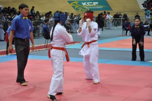 Festival for prizes of the Parliament of the Republic of Kazakhstan in 12 sports