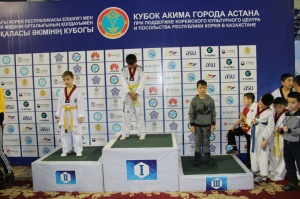 Tournament Taekwondo (WTF) for the Cup of Akim of Astana city