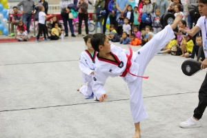 Annual certification for taekwondo belts